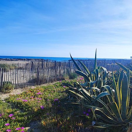 La Perle Bleue, 100 M De La Plage, Parking, Wifi Frontignan ภายนอก รูปภาพ
