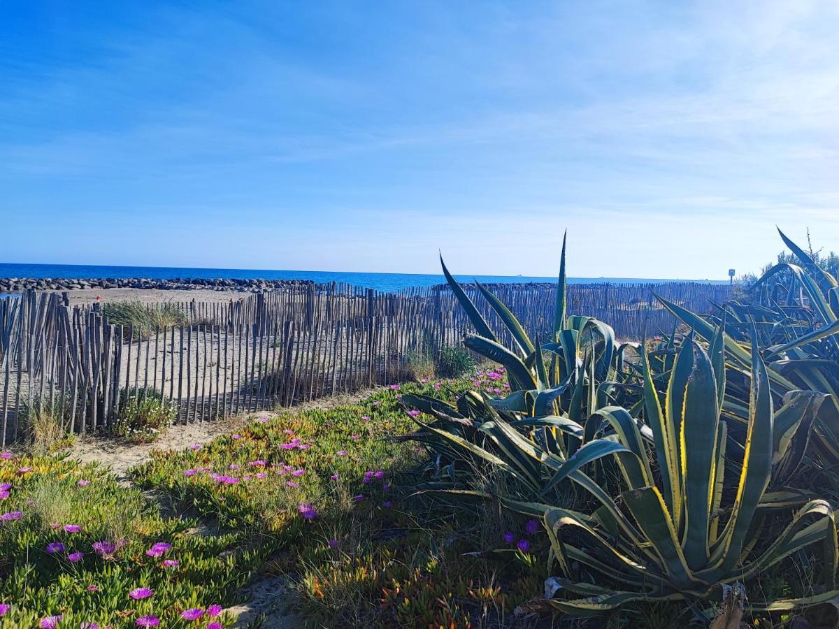 La Perle Bleue, 100 M De La Plage, Parking, Wifi Frontignan ภายนอก รูปภาพ